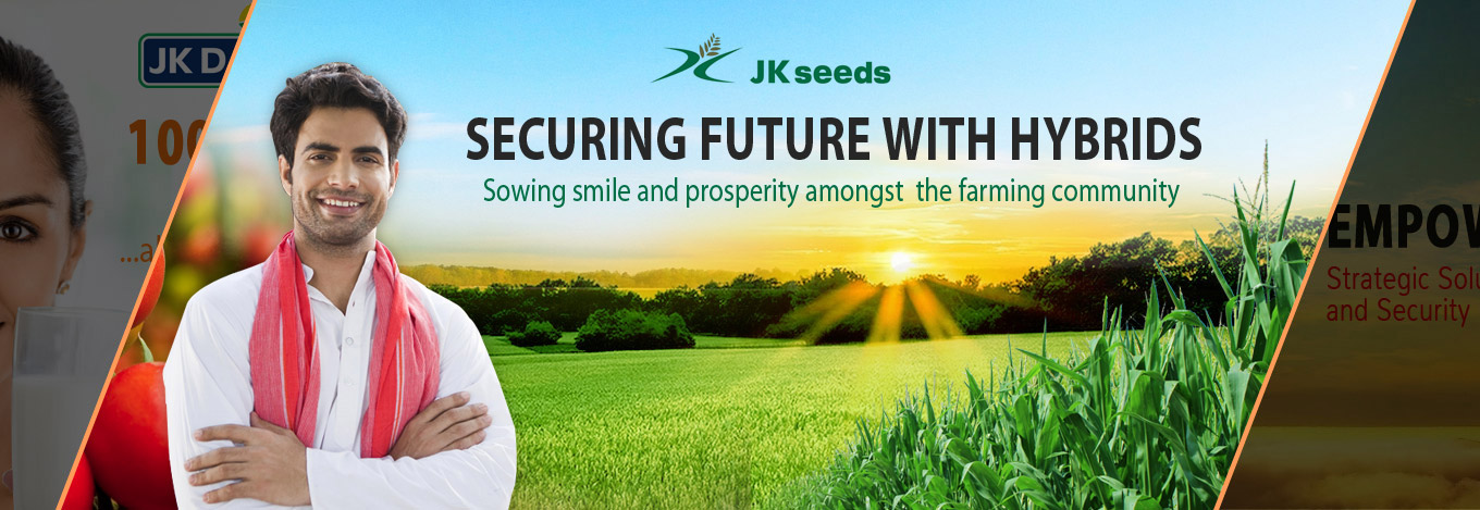 JK Seeds